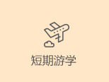 example-image